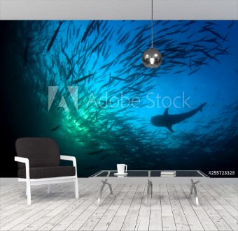 Picture of Whale Shark and school of Chevron Barracuda fish 